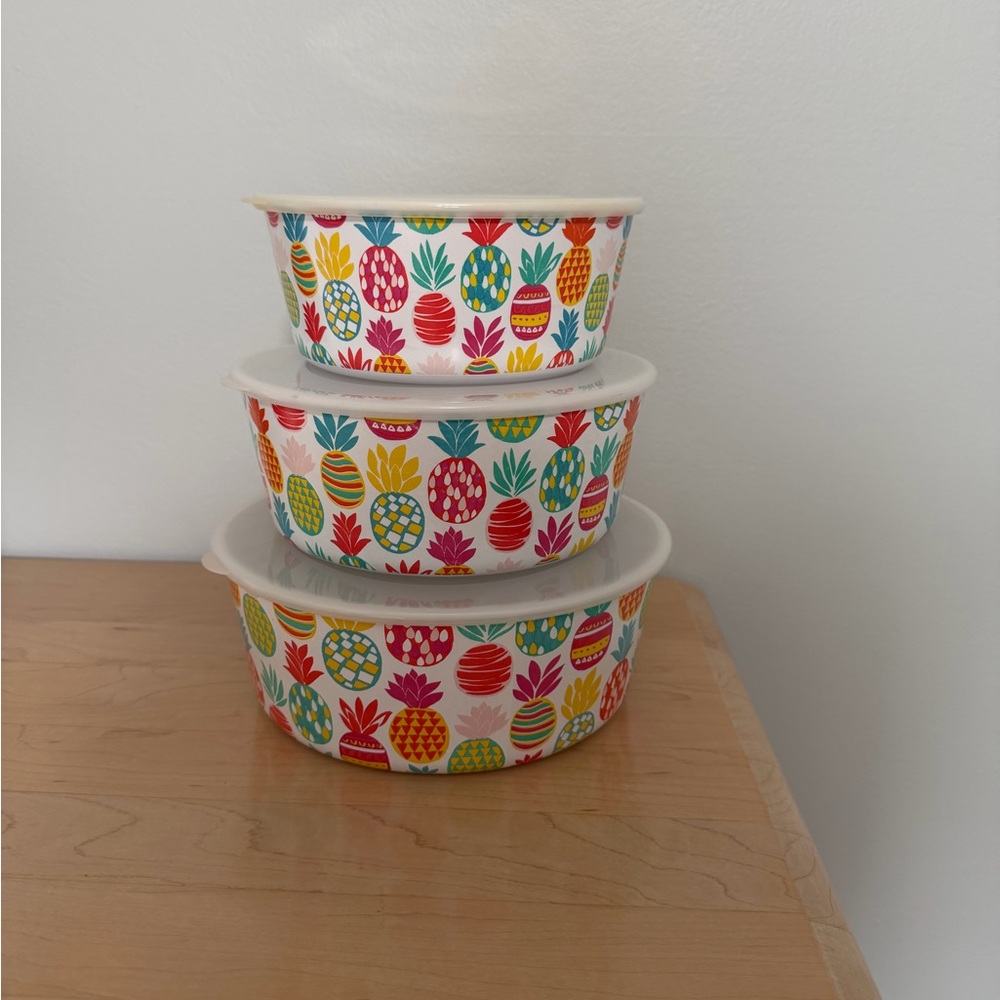 Colorful Pineapple Food Storage Bowl Set